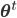 \mathbf{\theta}^t