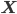 \mathbf{X}