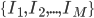 \{ I_1, I_2, ..., I_M \}